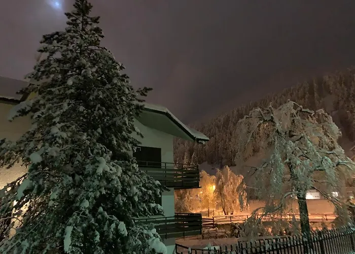 Blue Mountain *